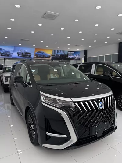 2025 BYD DENZA EV