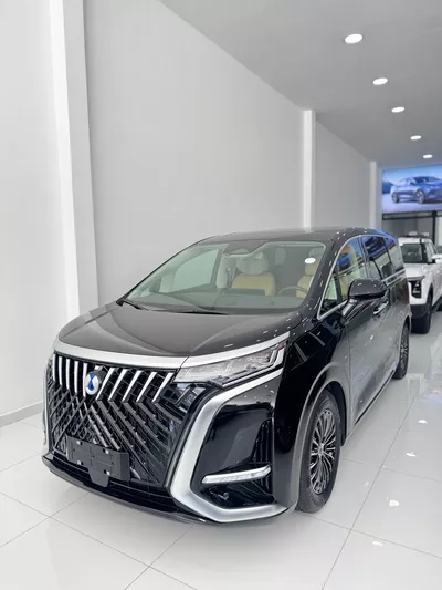 BYD DENZA EV 2025 thumbnail 2