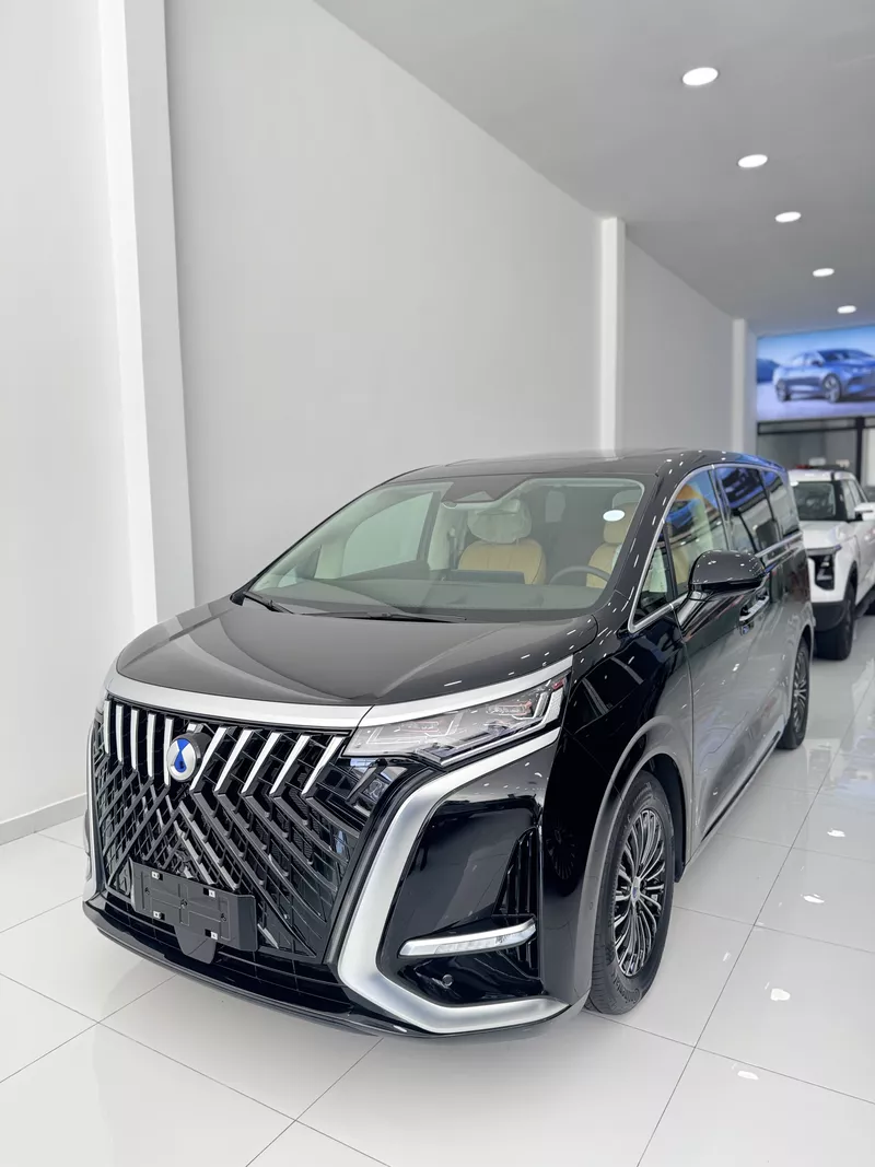 BYD DENZA EV 2025 preview 2