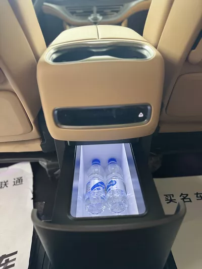 BYD DENZA EV 2025 thumbnail 9