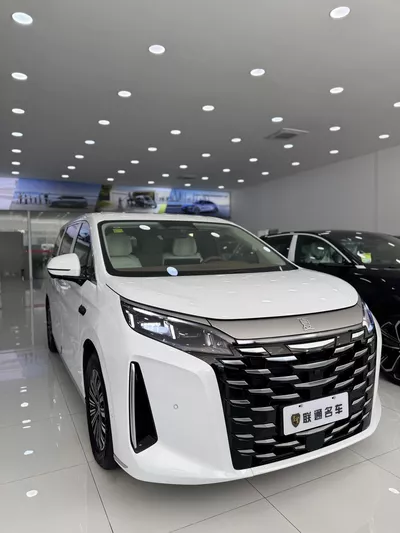 2025 BYD XIA DM-I
