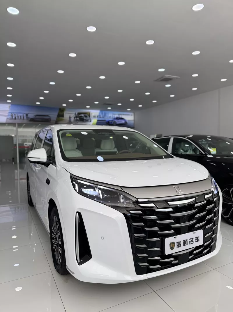 BYD XIA DM-I 2025 preview 1
