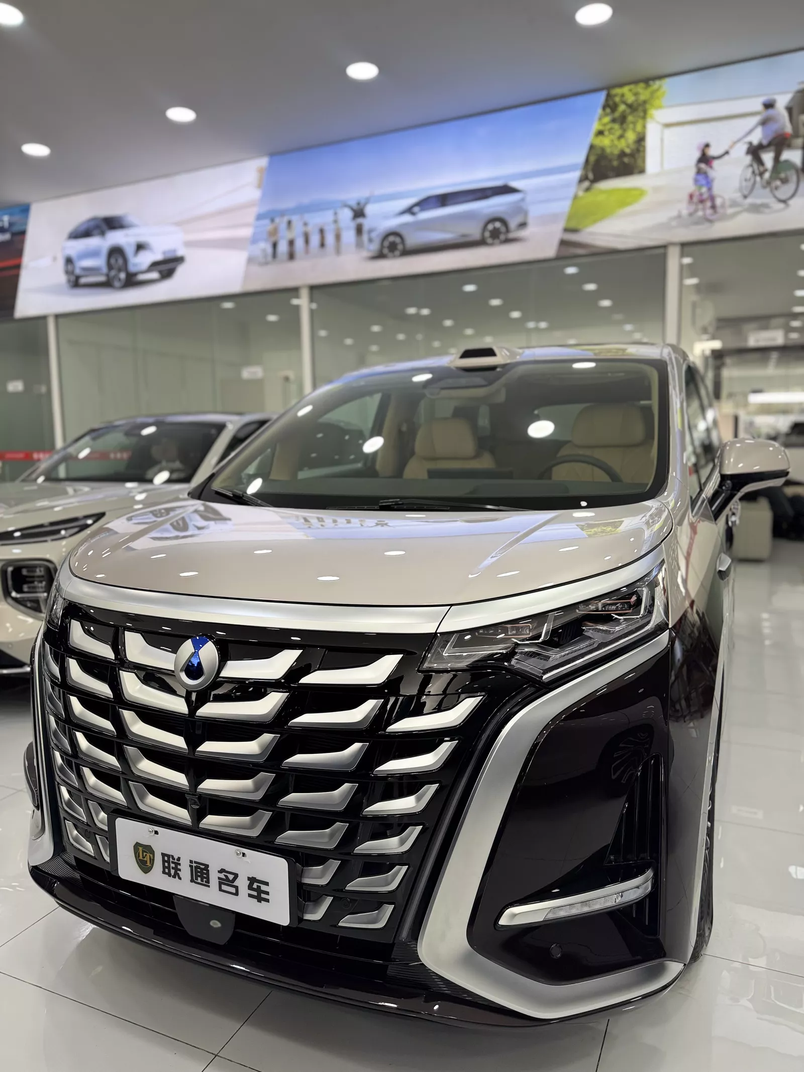 BYD Denza D9 2025 photo 1