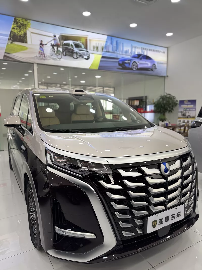 BYD Denza D9 2025 preview 2