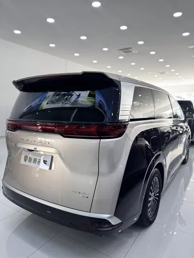BYD Denza D9 2025 thumbnail 4