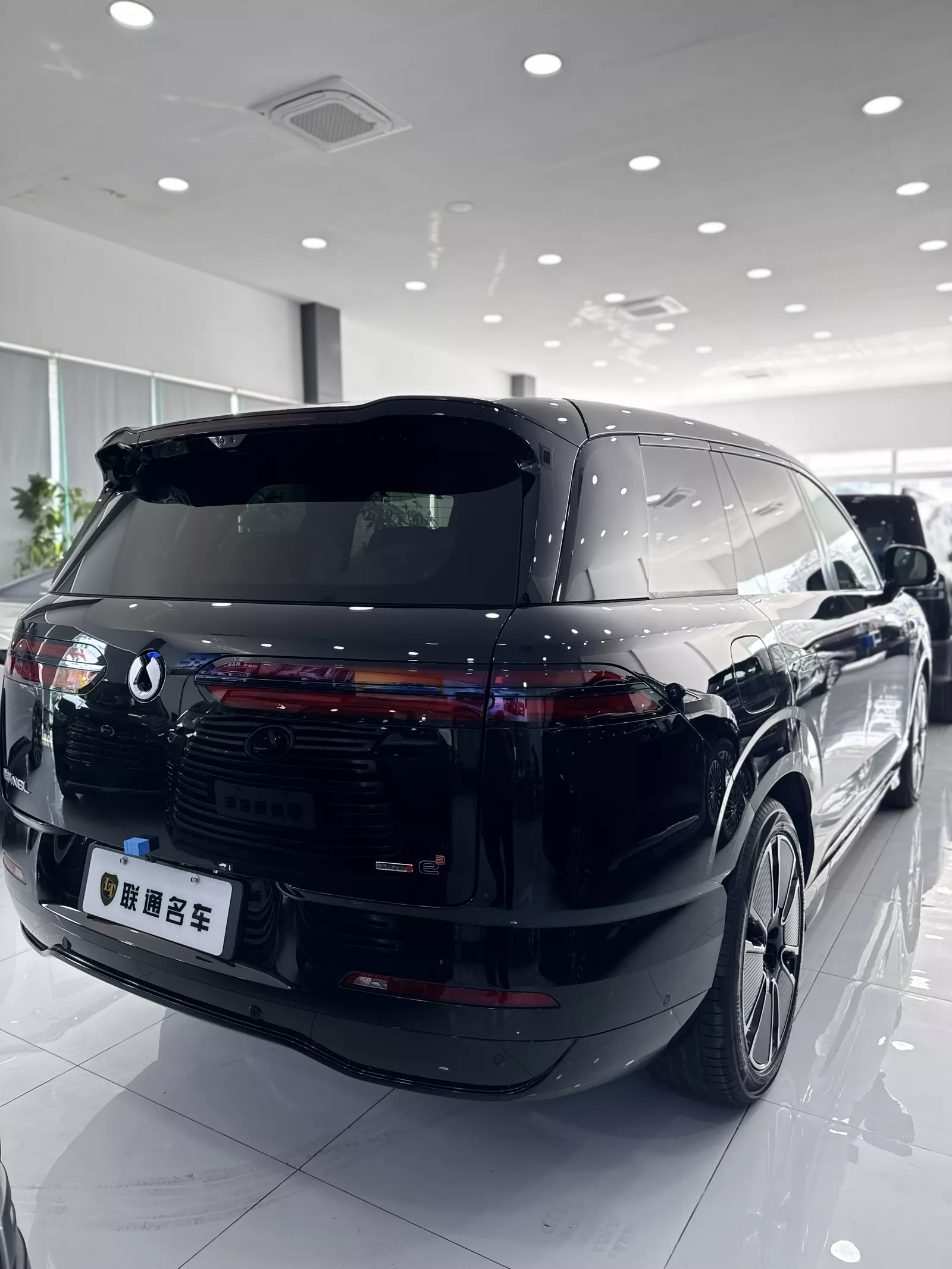 BYD DENZA N8L 2025 photo 3