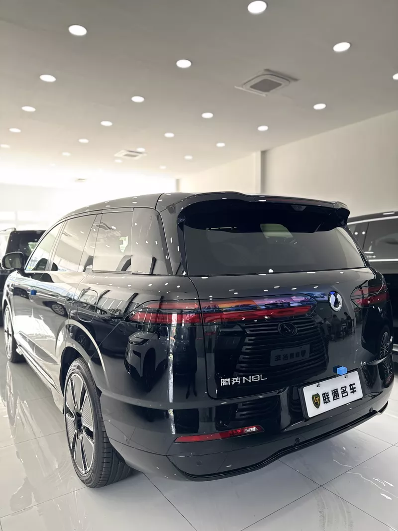 BYD DENZA N8L 2025 preview 4