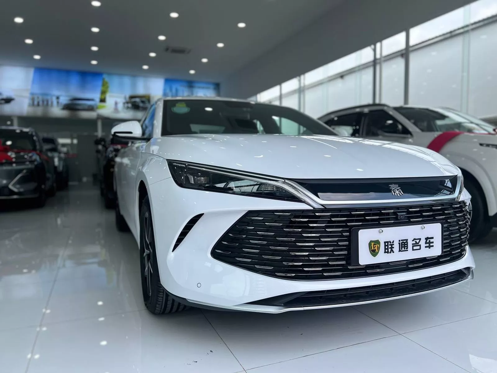 BYD Qin-L 2025 photo 2