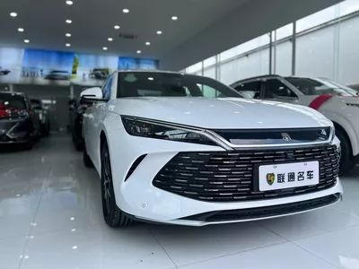 BYD Qin-L 2025 thumbnail 2