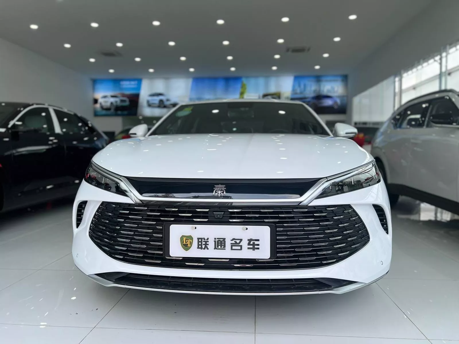 BYD Qin-L 2025 photo 5