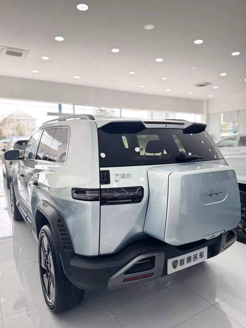 BYD Formula Leopard 2025 preview 4