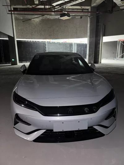 BYD Other