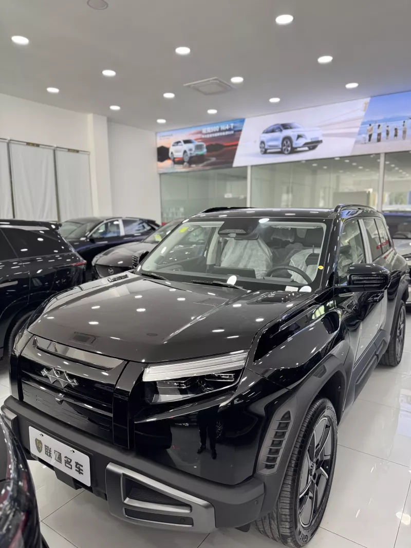 BYD Leopard 3 2025 preview 2