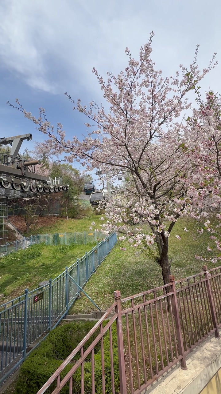 Korea Trip